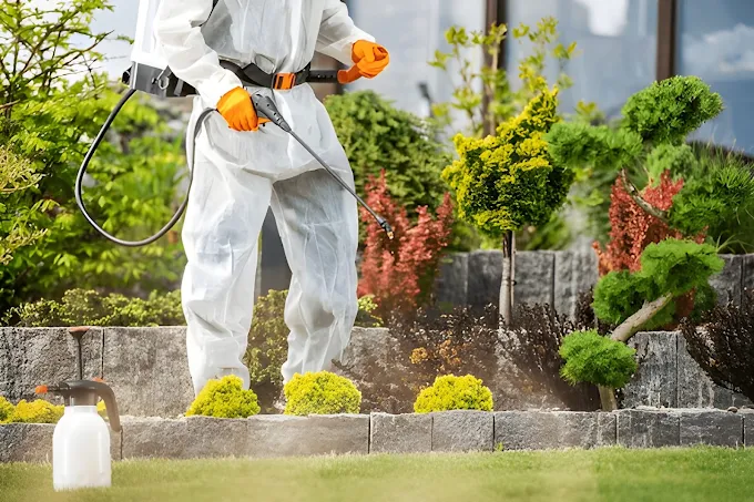 Michael's Termite & Pest Control work photo &mdash; The Villages & Ocala, Florida