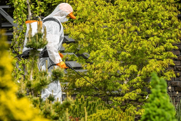 Michael's Termite & Pest Control work photo &mdash; The Villages & Ocala, Florida