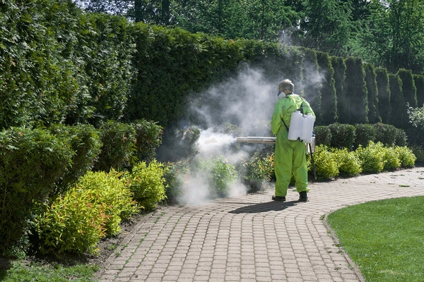 Michael's Termite & Pest Control work photo &mdash; The Villages & Ocala, Florida