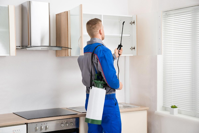 Michael's Termite & Pest Control work photo &mdash; The Villages & Ocala, Florida